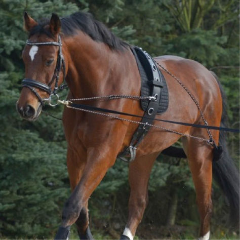 Sunrise Arts Saddlery